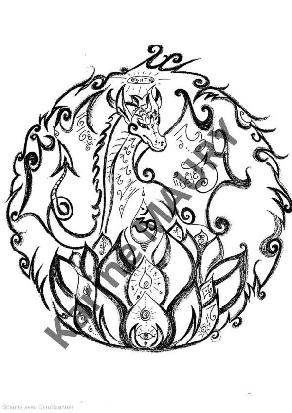 Soin dessin quantique Dragonne OMA