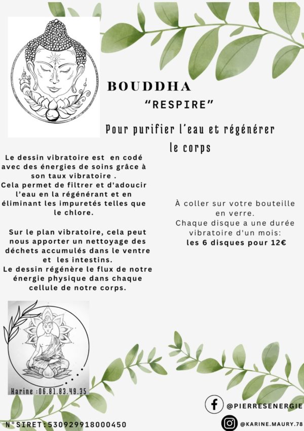 Disque pour purifier l’eau et régénérer le corps