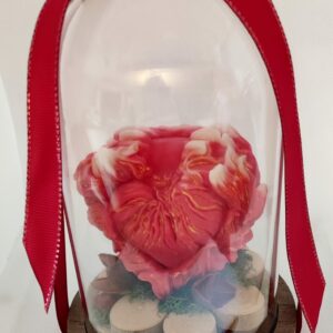 Composition Vibratoire « Passion »