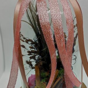 Composition Vibratoire « Le Paon »