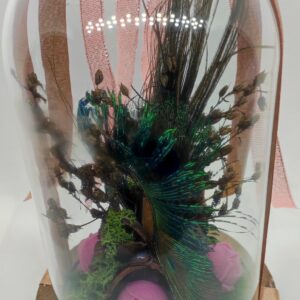 Composition Vibratoire « Le Paon »